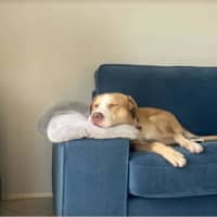 Photo of Titan 