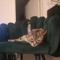 Photo of Milicent (Mili)