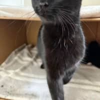 Photo of Cleo