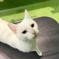 Photo of Vicky