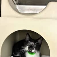 Photo of Spud