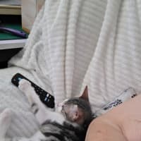 Photo of Rapha