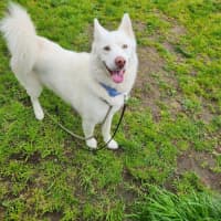 Photo of Luna (67077)