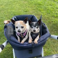 Photo of Chase And Isabella 