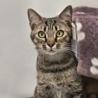 Photo of Shaye