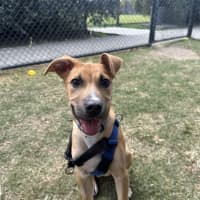 Photo of Charlie