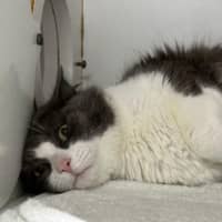 Photo of Edwin