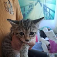 Photo of Clarice