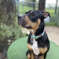Photo of Marnie