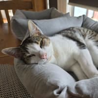 Photo of Missy & Sonny 🌺💙