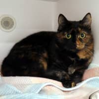 Photo of Charlotte Sta013830