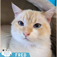 Photo of Fred