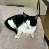 Photo of Mimi