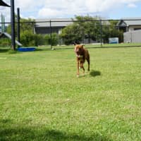 Photo of Wally