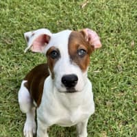 Photo of Mystique