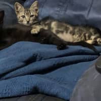 Photo of Jasper