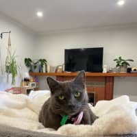 Photo of Luna