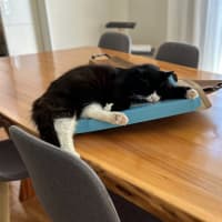 Photo of Thomas