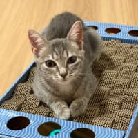 Photo of Hazel
