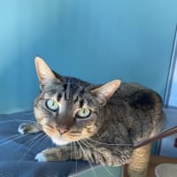 Photo of Lucy