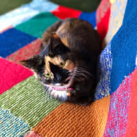 Photo of Viv (Vivienne)