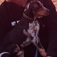 Photo of Patch