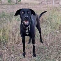 Photo of Mia