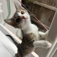 Photo of Rainer 🎄❤️