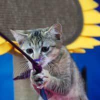Photo of Donna