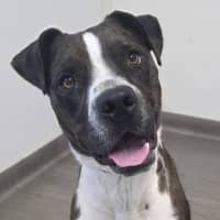 Photo of Duke