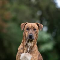 Photo of Remy