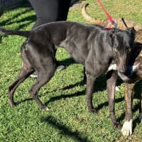 Photo of Betty Clover