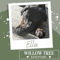 Photo of Ellie