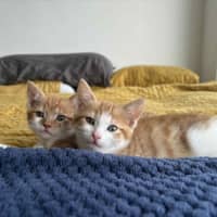 Photo of Elodie & Etienne