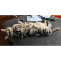 Photo of 7556   Harry