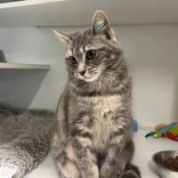 Photo of Maggie