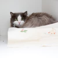 Photo of Peggy