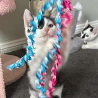 Photo of Parkway 💕