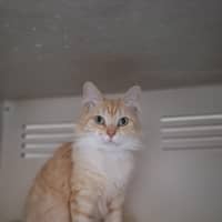 Photo of Sandy