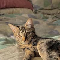 Photo of Twinkle