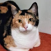 Photo of Salsa
