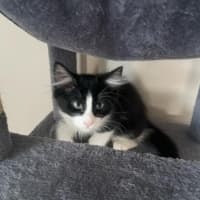 Photo of Jagga Meet Me@Petstock Keysborough Store