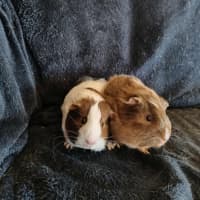 Photo of Chantelle & Sarah