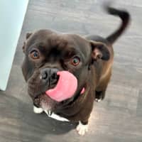 Photo of Rukkus