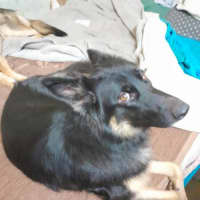 Photo of Sascha 