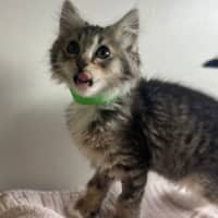 Photo of Fiyero