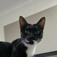Photo of Tessa