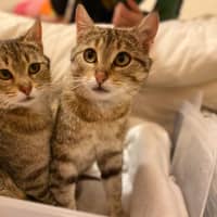 Photo of Betty & Olivia ❤️