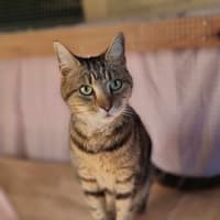 Photo of Thelma