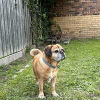 Photo of Covah And Teddy